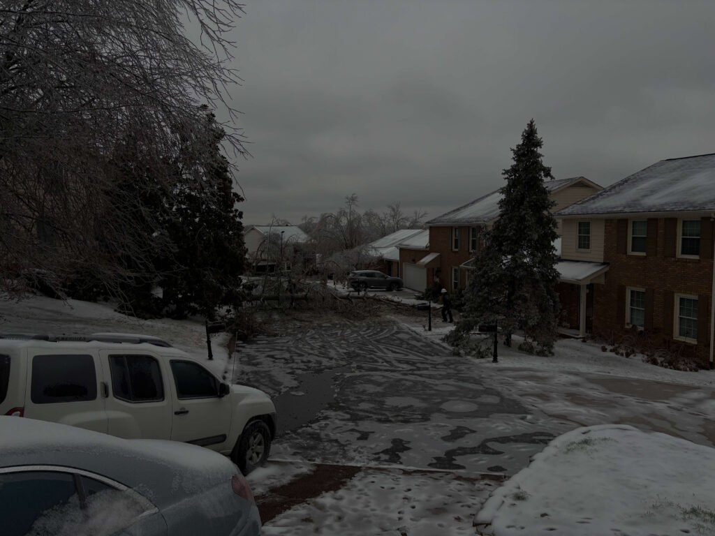 Ice with tree down in neighborhood