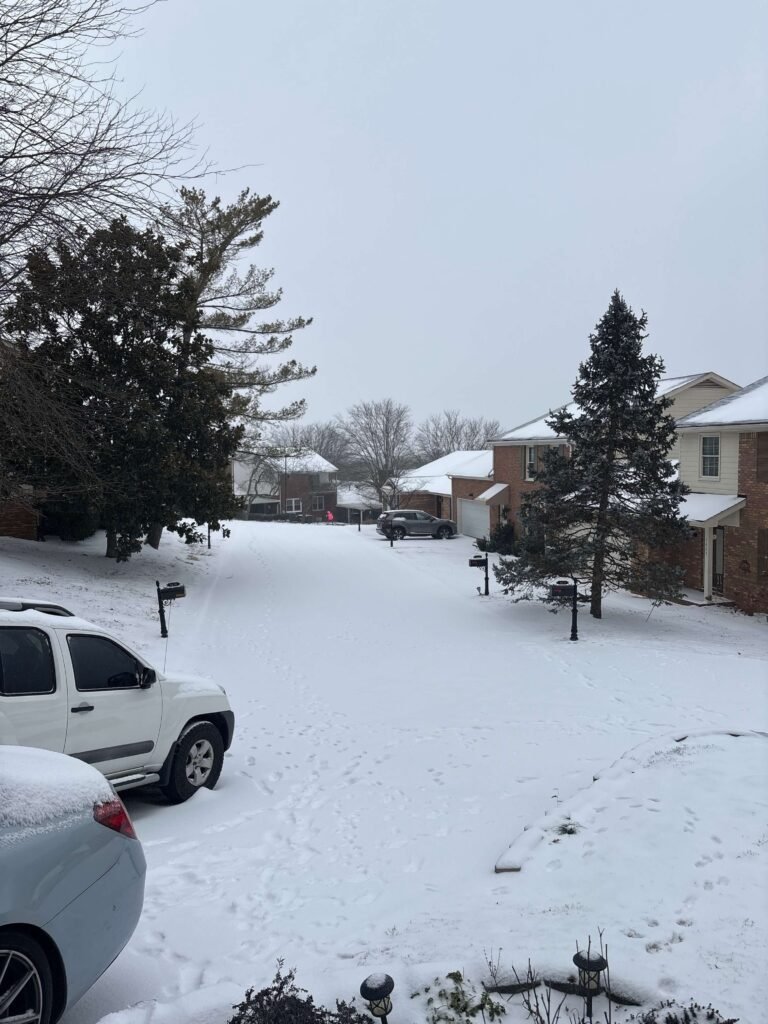 Snow in neighborhood
